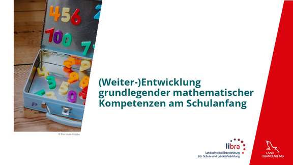 (Weiter-) Entwicklung grundlegender mathematischer Kompetenzen am Schulanfang