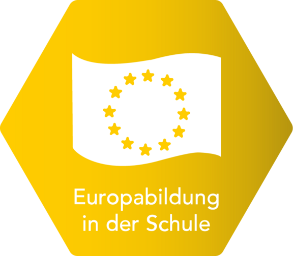 Europabildung in der Schule: Europaflagge