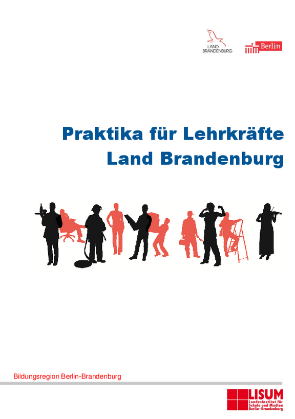 Flyer Praktika Lehrkräfte