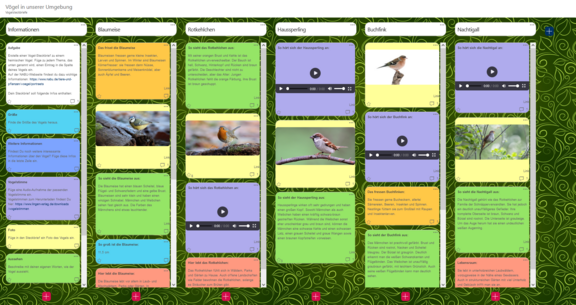 Beispiel: Vögel in unserer Umgebung