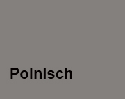 Polnisch_Kachelelement