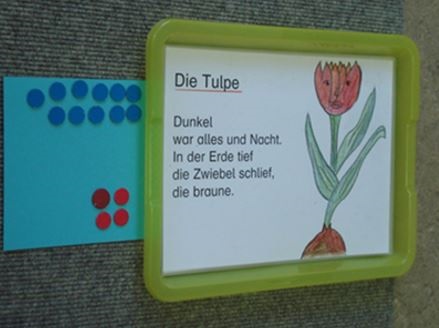 Abb. 20 Kleines Tablett mit Erinnerungshilfen an die Aufgaben sowie den abgelegten roten und blauen Spielsteinen